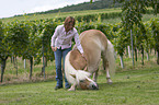 Frau mit Haflinger