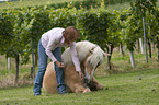 Frau mit Haflinger