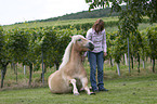 Frau mit Haflinger