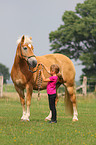 Mdchen mit Haflinger