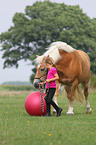 M�dchen mit Haflinger