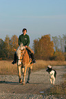 Frau reitet Haflinger und ein Hund folgt ihnen