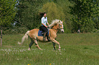 Frau reitet Haflinger