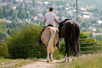 Ausritt mit Handpferd