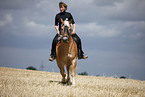 trabender Haflinger