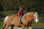 Kind reitet Haflinger