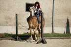 Frau reitet Haflinger