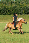 Frau reitet Haflinger