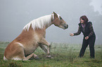 Frau mit Haflinger