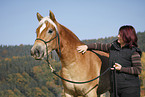 Frau mit Haflinger