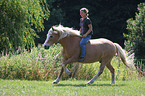 Mdchen und Haflinger