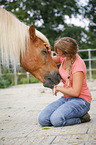 Frau und Haflinger