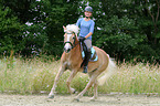 Frau reitet Haflinger