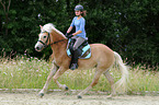 Frau reitet Haflinger