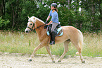 Frau reitet Haflinger