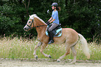 Frau reitet Haflinger