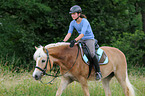 Frau reitet Haflinger