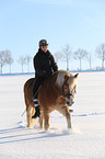 Frau reitet Haflinger