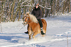 Frau reitet Haflinger