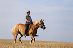 Frau reitet Haflinger