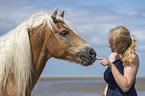 Frau mit Haflinger