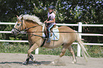 Mdchen reitet Haflinger