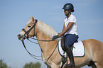 Frau mit Haflinger