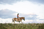 Frau und Haflinger