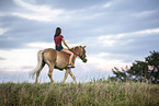 Frau und Haflinger