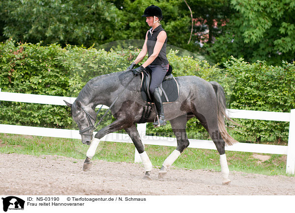 Frau reitet Hannoveraner / woman rides Hanoverian horse / NS-03190