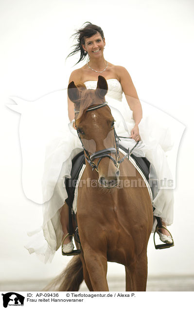 Frau reitet Hannoveraner / woman rides Hanoverian horse / AP-09436