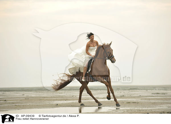 Frau reitet Hannoveraner / woman rides Hanoverian horse / AP-09439