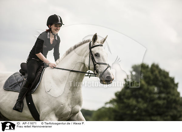 Frau reitet Hannoveraner / woman rides Hanoverian / AP-11671
