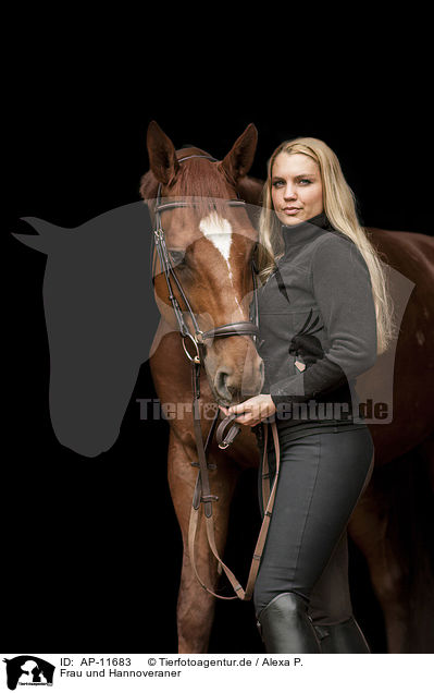 Frau und Hannoveraner / woman and Hanoverian / AP-11683