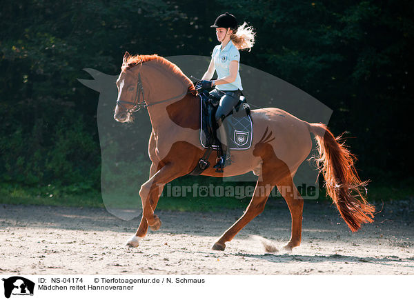Mdchen reitet Hannoveraner / girl rides Hanoverian / NS-04174