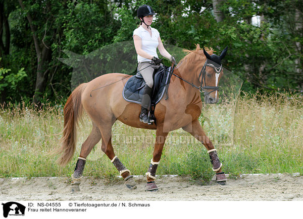Frau reitet Hannoveraner / woman rides Hanoverian / NS-04555