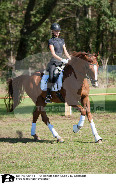Frau reitet hannoveraner / Woman rides Hanoverian / NS-05441