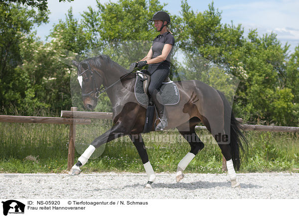 Frau reitet Hannoveraner / woman rides Hanoverian Horse / NS-05920