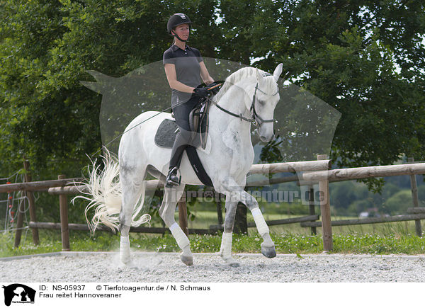 Frau reitet Hannoveraner / woman rides Hanoverian Horse / NS-05937
