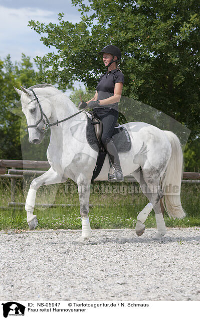 Frau reitet Hannoveraner / woman rides Hanoverian Horse / NS-05947