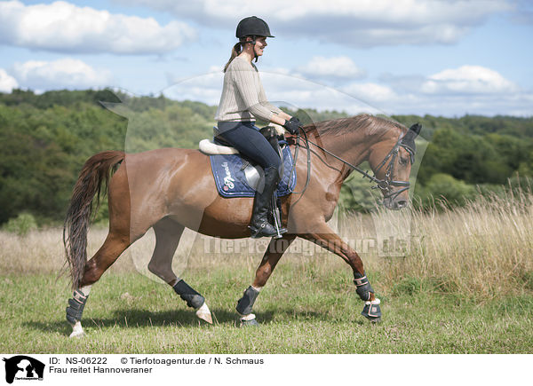 Frau reitet Hannoveraner / woman rides Hanoverian Horse / NS-06222