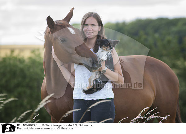 Frau mit Hannoveraner und Chihuahua / NS-06246