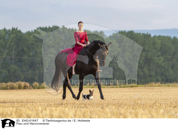 Frau und Hannoveraner / woman and Hanoverian / EHO-01647