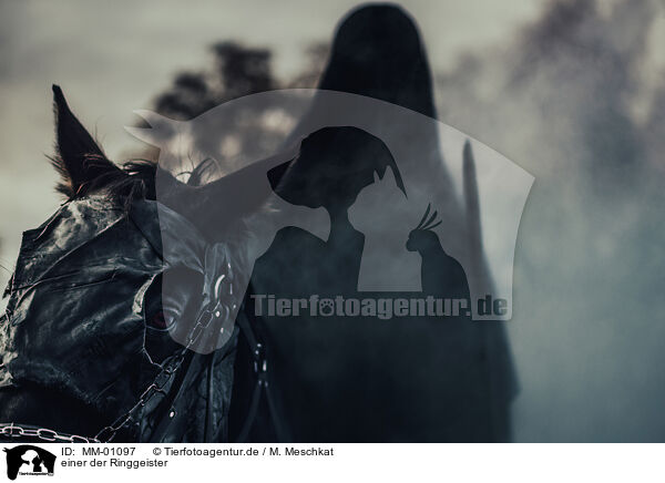 einer der Ringgeister / one of the ringwraiths / MM-01097