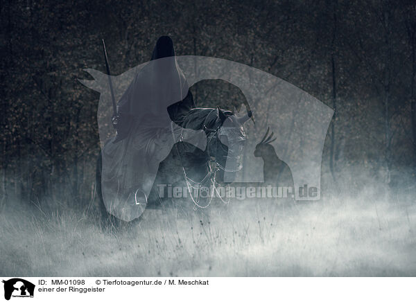 einer der Ringgeister / one of the ringwraiths / MM-01098