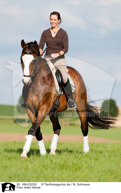 Frau reitet Hesse / woman rides Hessian warmblood / NS-03232