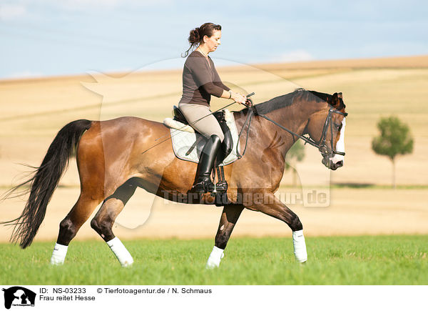 Frau reitet Hesse / woman rides Hessian warmblood / NS-03233