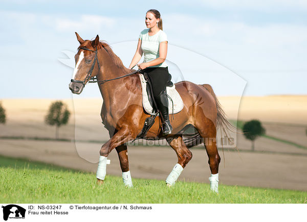 Frau reitet Hesse / woman rides Hessian warmblood / NS-03247