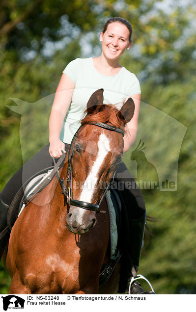 Frau reitet Hesse / woman rides Hessian warmblood / NS-03248