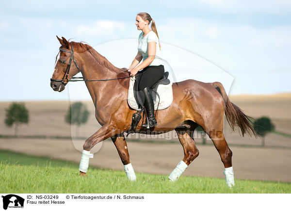 Frau reitet Hesse / woman rides Hessian warmblood / NS-03249